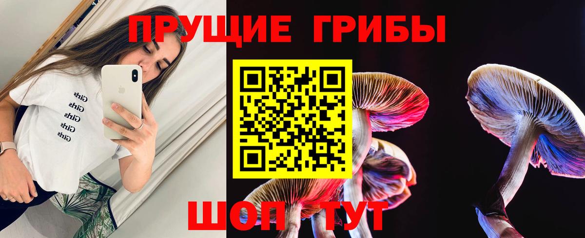 Наро-Фоминск  Галлюциногенные грибы прущие грибы  Галлюциногенные грибы мухоморы  Вход с VPN 
