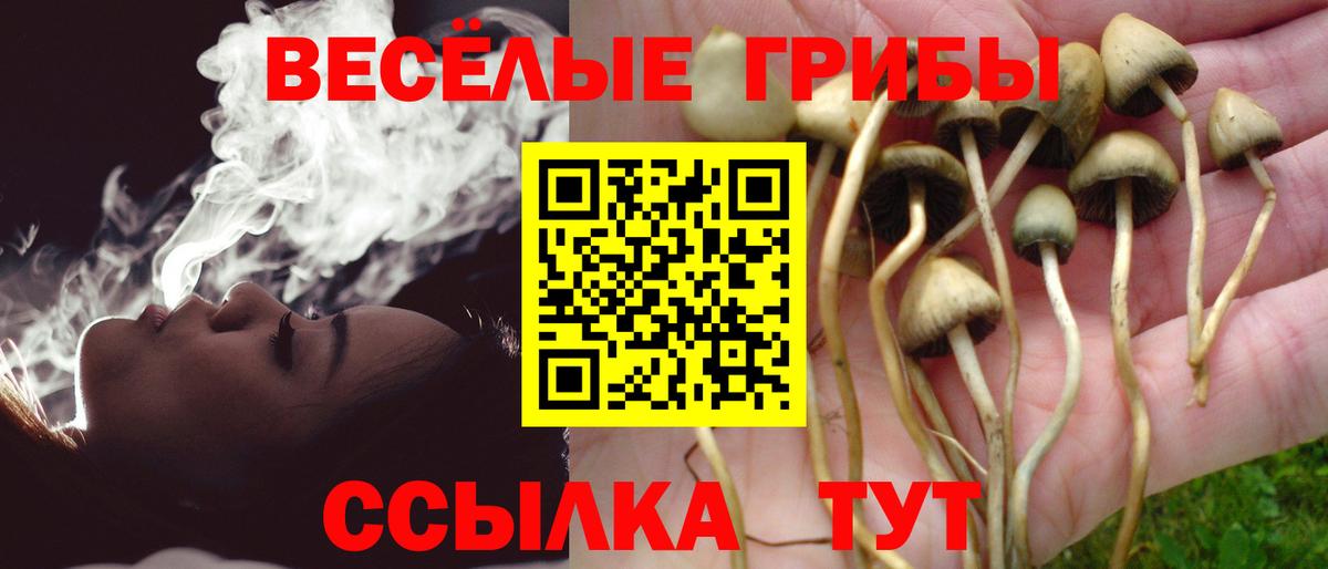 Псилоцибиновые грибы прущие грибы Наро-Фоминск